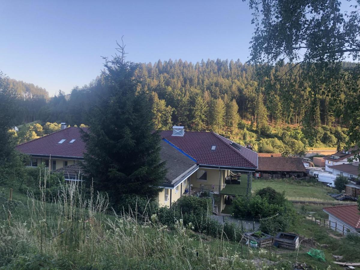 Ferienhaus Lacher Baiersbronn Εξωτερικό φωτογραφία